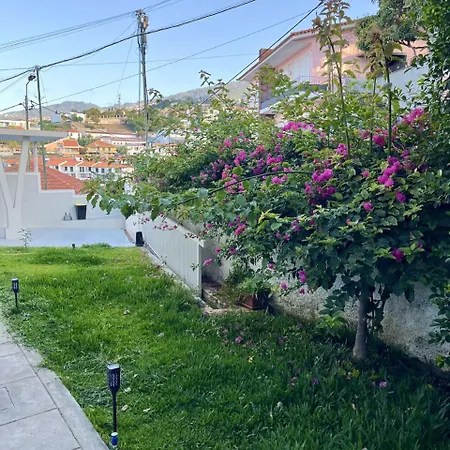 The Luzia House - Sunny 4br With Gardens, Terraces, Ac, On-site Parking * フンシャル