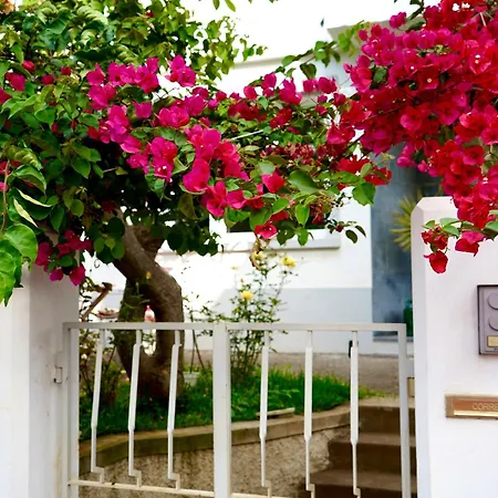 The Luzia House - Sunny 4br With Gardens, Terraces, Ac, On-site Parking Feriehus *