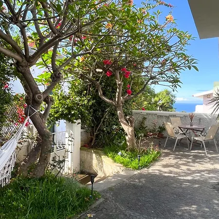 The Luzia House * 푼샬