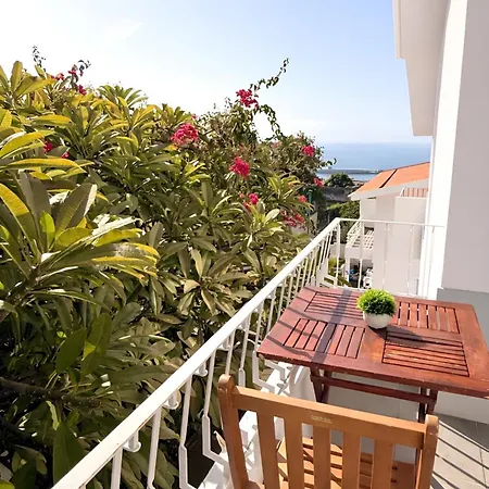 The Luzia House - Sunny 4br With Gardens, Terraces, Ac, On-site Parking * Funchal (Madeira)