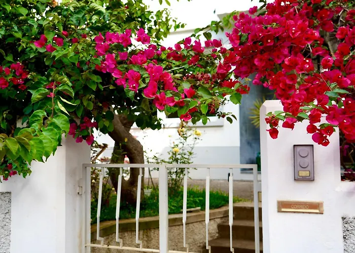 The Luzia House - Sunny 4br With Gardens, Terraces, Ac, On-site Parking Tatil Evi *
